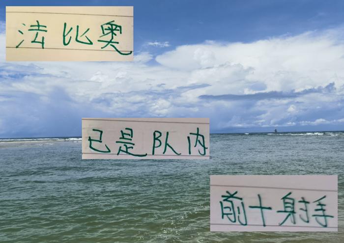 踢着踢着 法比奥进球数已经是北京国安前10  再进3球就是历史第四